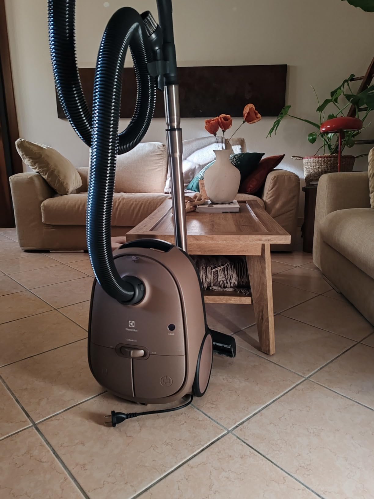 Electrolux EB61C3WBL aspirapolvere con sacco marrone noce