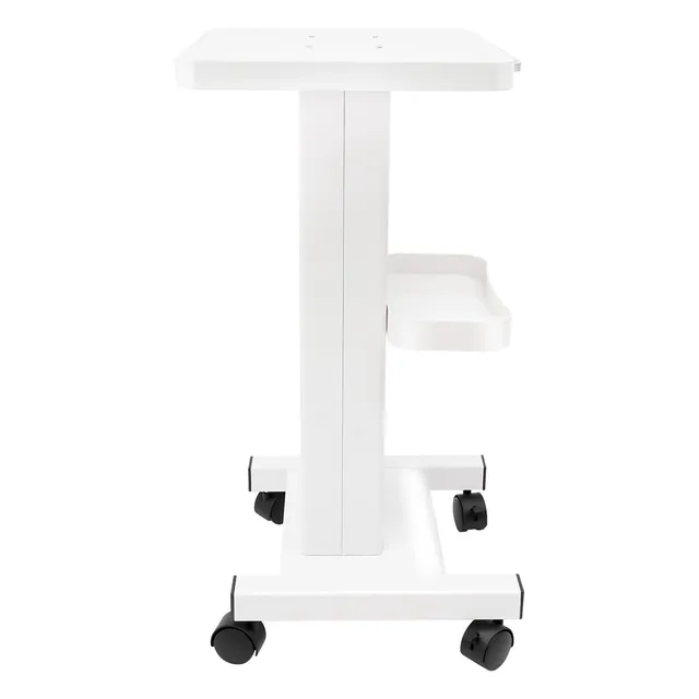 TiryyDrela Carrello Estetista con Ruote Bianco Professionale