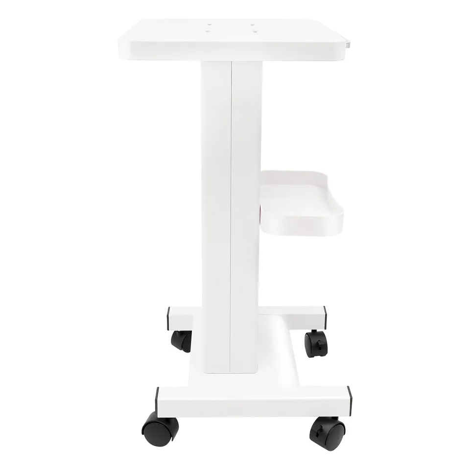 TiryyDrela Carrello Estetista con Ruote Bianco Professionale