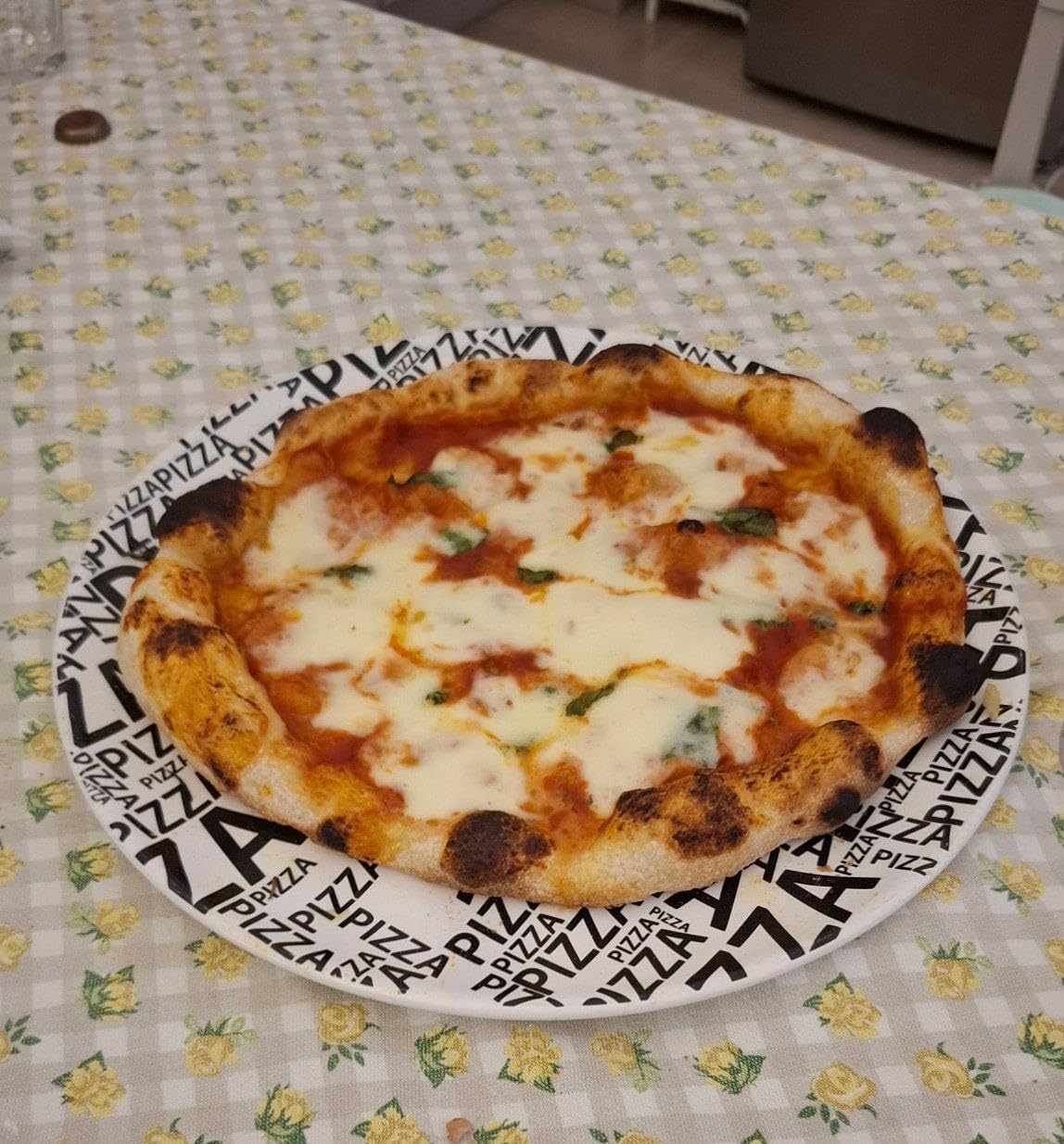 Electrolux E9OHPS1 set pizza pietra refrattaria