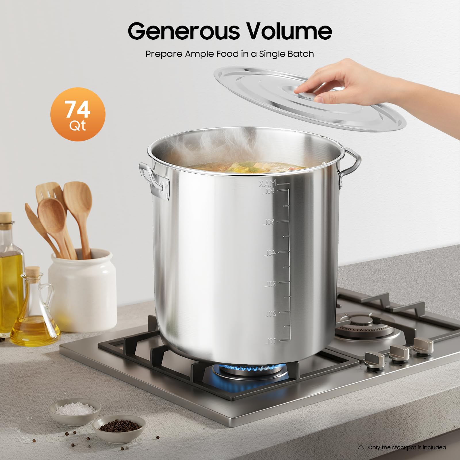 TiryyDrela Pentola 70L Acciaio Inox con Coperchio 45 cm