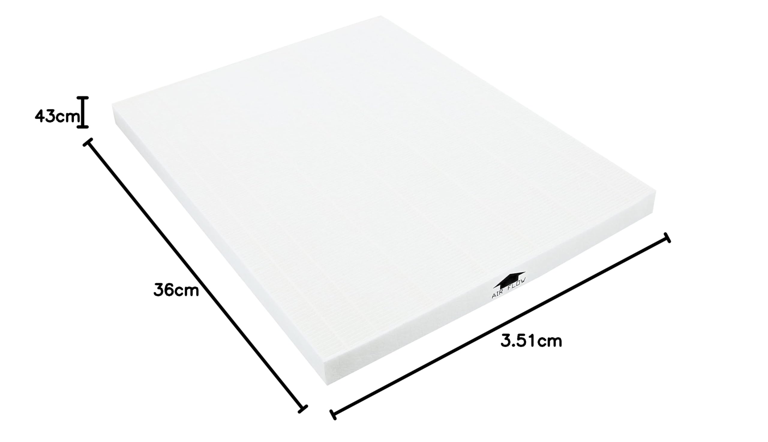 Electrolux EF114 filtro Hepa EAP300 antiallergene