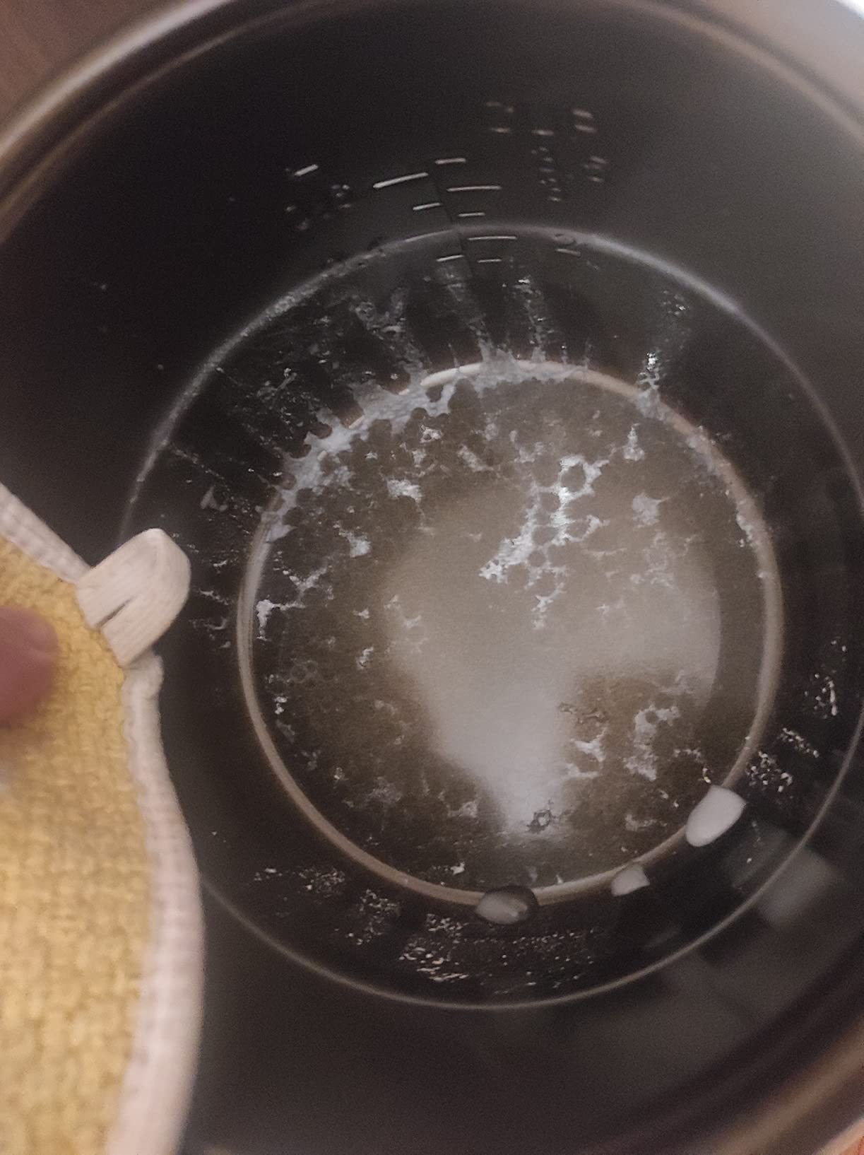 Reishunger cuociriso digitale 0,6 L menta 7 programmi