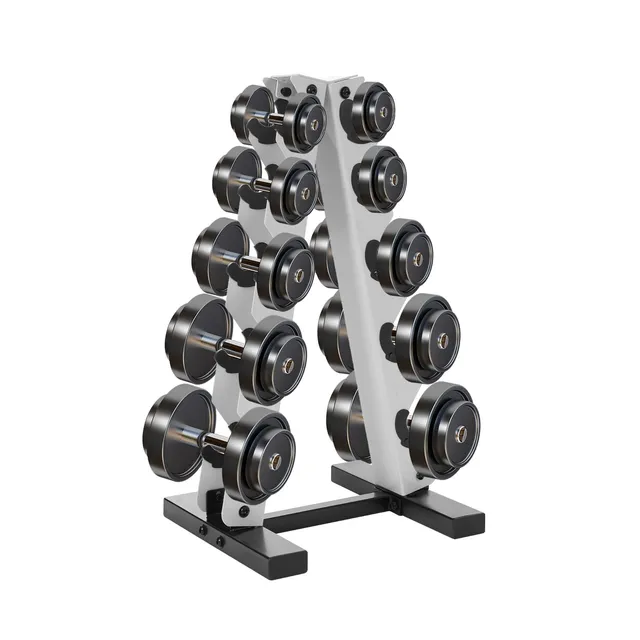 TiryyDrela rastrelliera manubri 5 livelli acciaio 100 kg