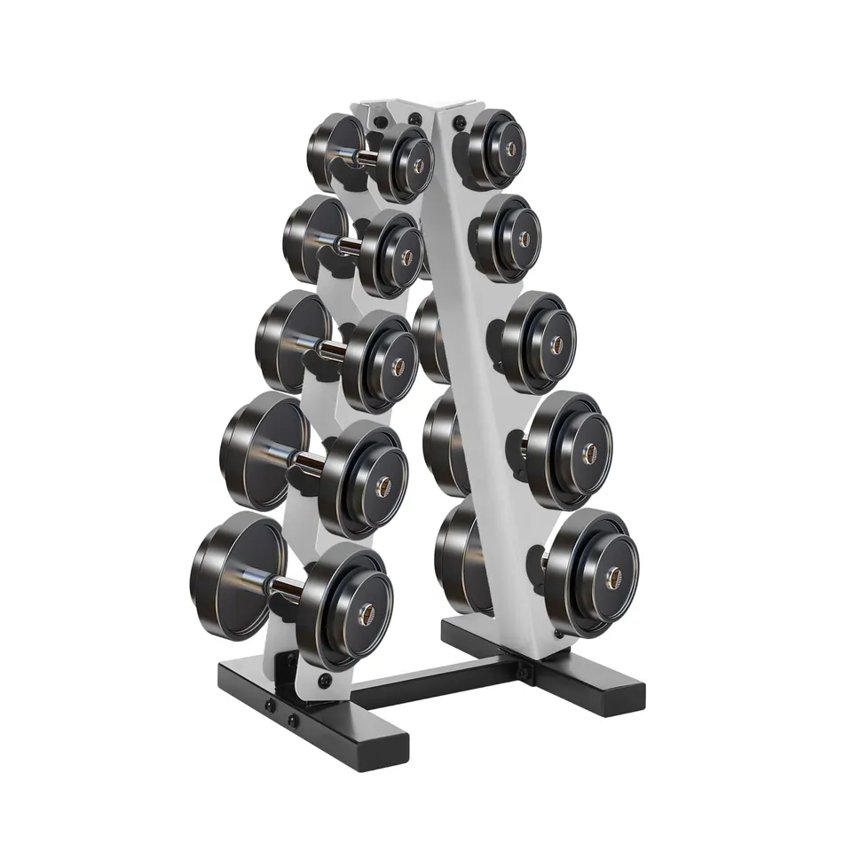 TiryyDrela rastrelliera manubri 5 livelli acciaio 100 kg