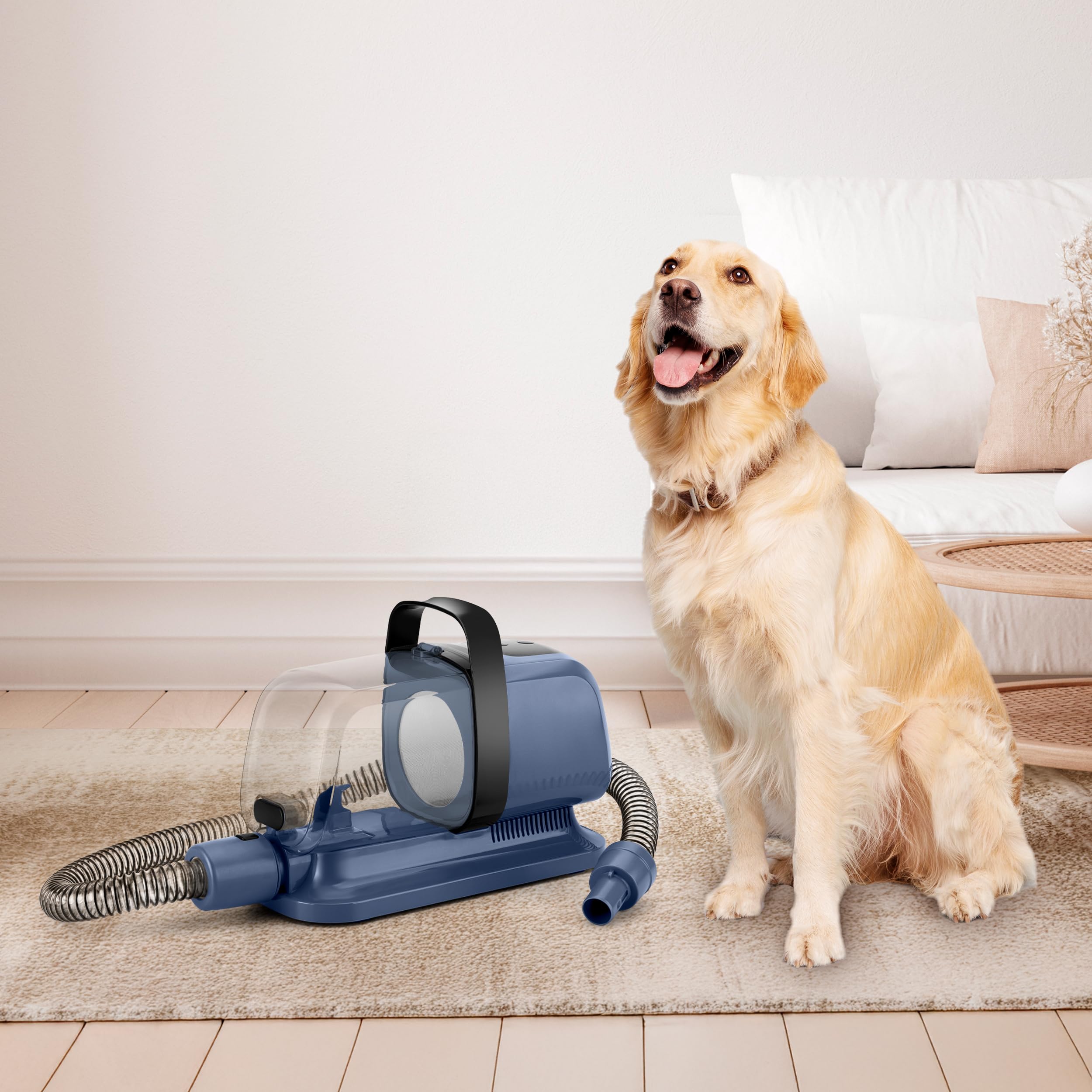 Ufesa Pet Buddy Groom aspirapolvere animali 10 in 1 da 2L