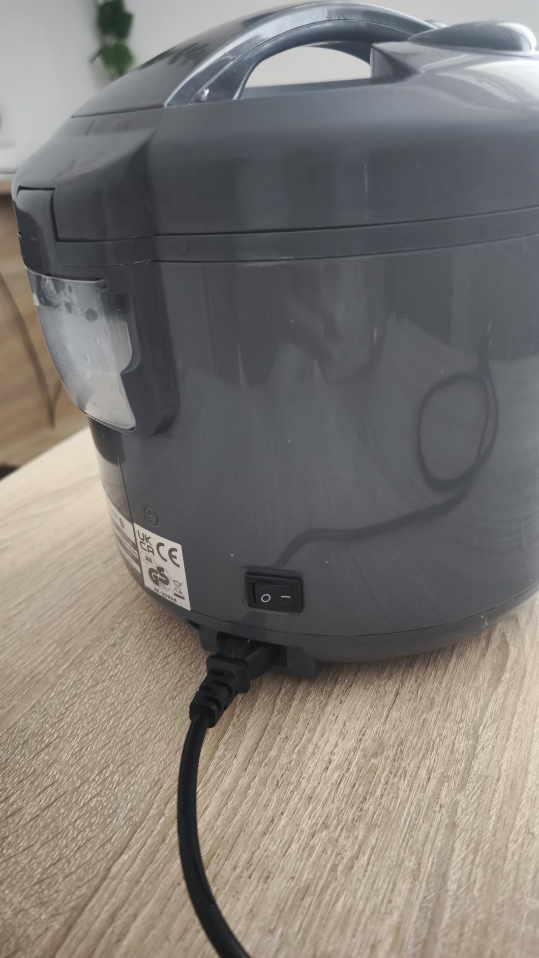 Reishunger Basis cuociriso elettrico 1,2 L grigio 6 porzioni