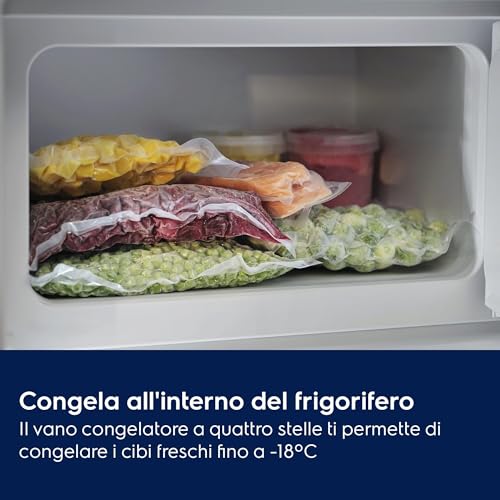 Electrolux ERA7DE18S frigorifero incasso 310 L classe E