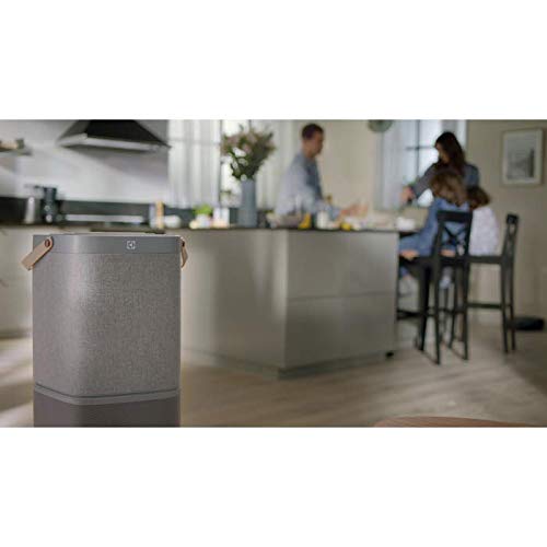 Electrolux Clean360 EFDCLN4E Filtro Purificatore HEPA13