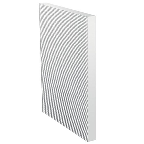 Electrolux EF114 filtro Hepa EAP300 antiallergene
