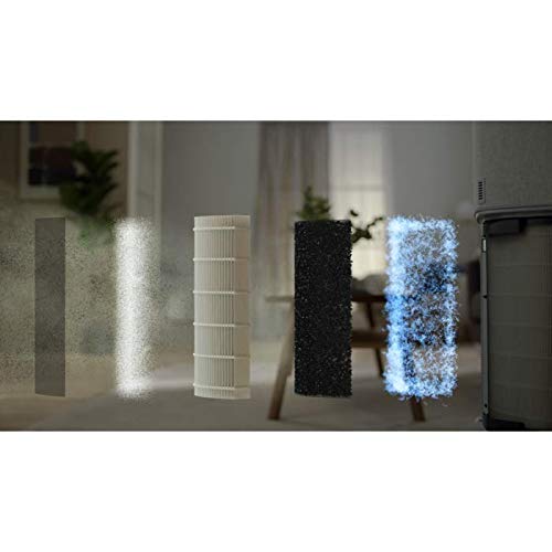 Electrolux Clean360 EFDCLN4E Filtro Purificatore HEPA13