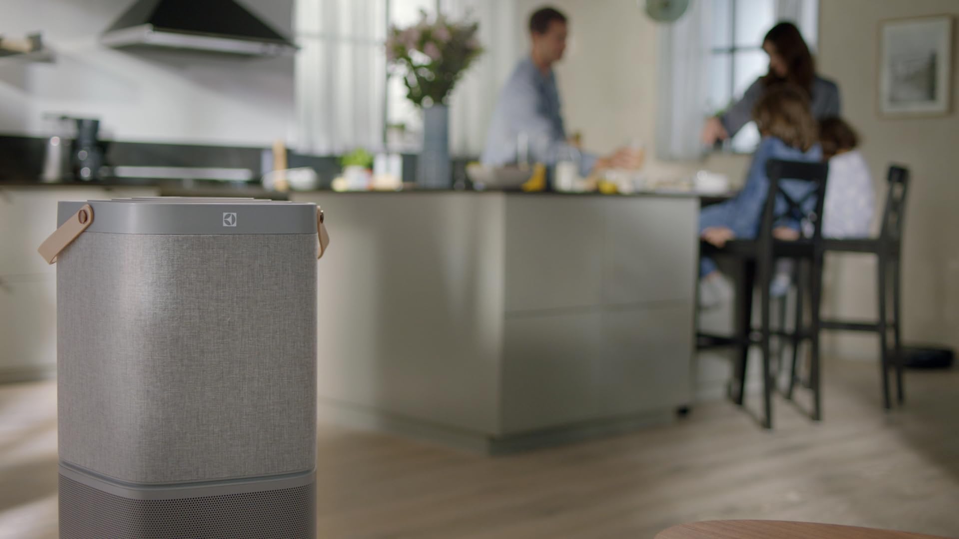 Electrolux Breathe360 EFDBTH6 filtro antipolline