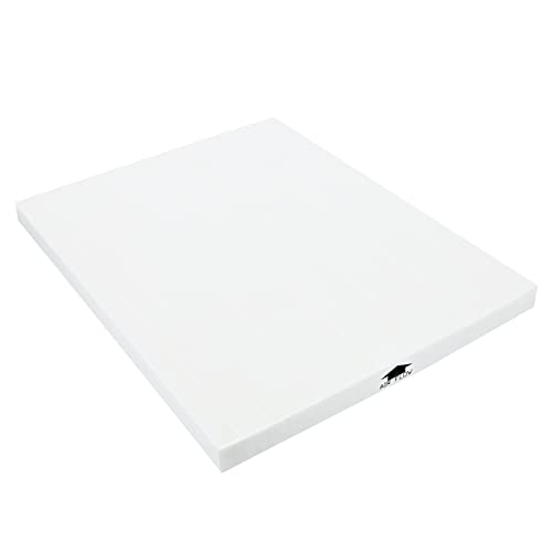 Electrolux EF114 filtro Hepa EAP300 antiallergene