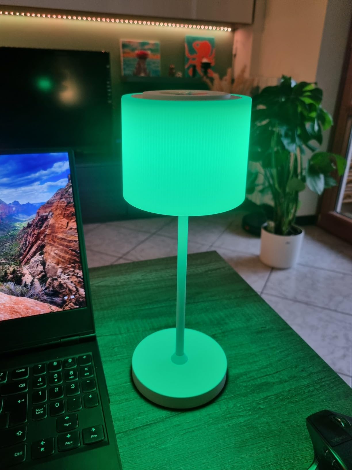 WOWDSGN lampada da tavolo ricaricabile RGB 4000mAh IP44