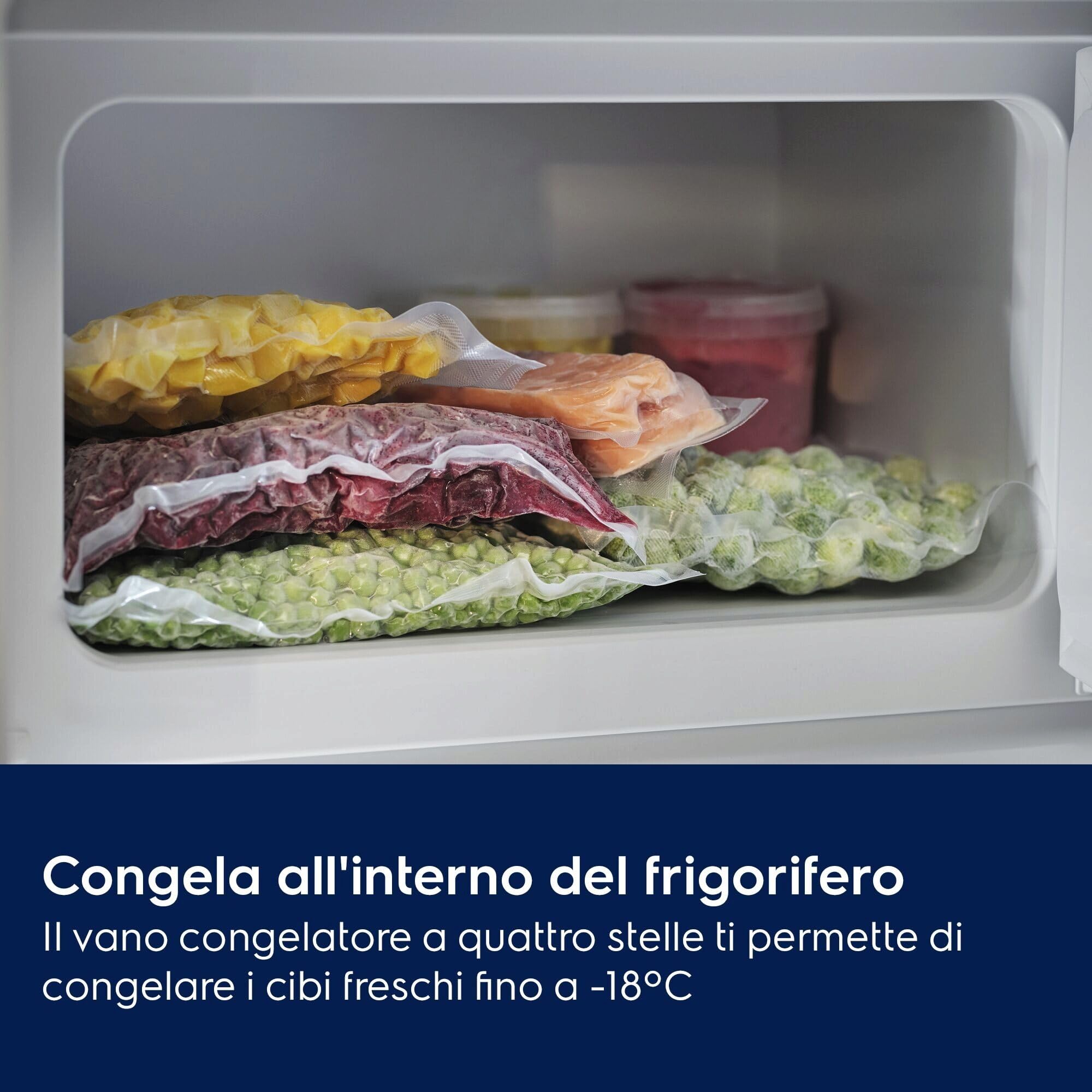 Electrolux ERA7DE18S frigorifero incasso 310 L classe E