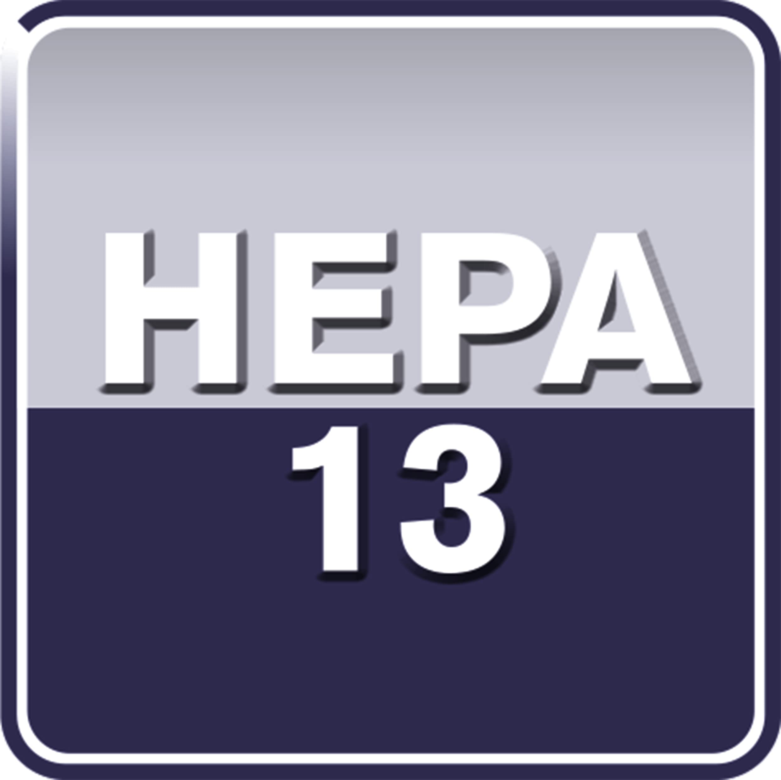 Electrolux EF114 filtro Hepa EAP300 antiallergene
