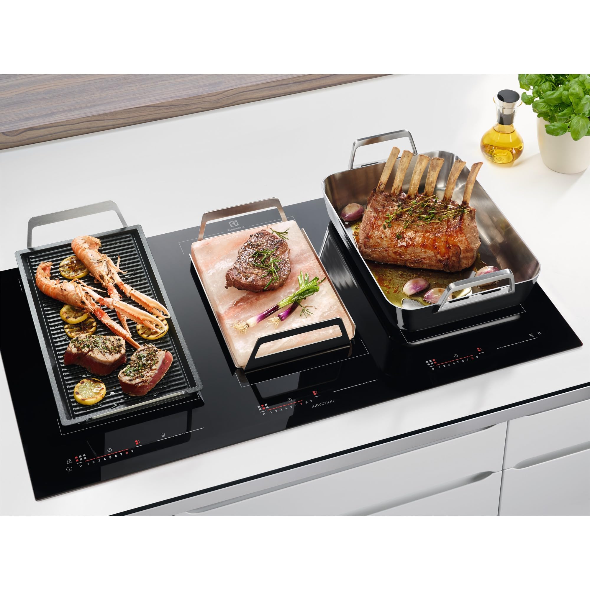 Electrolux E2SLT piastra sale rosa 20x30x4 cm 3 kg