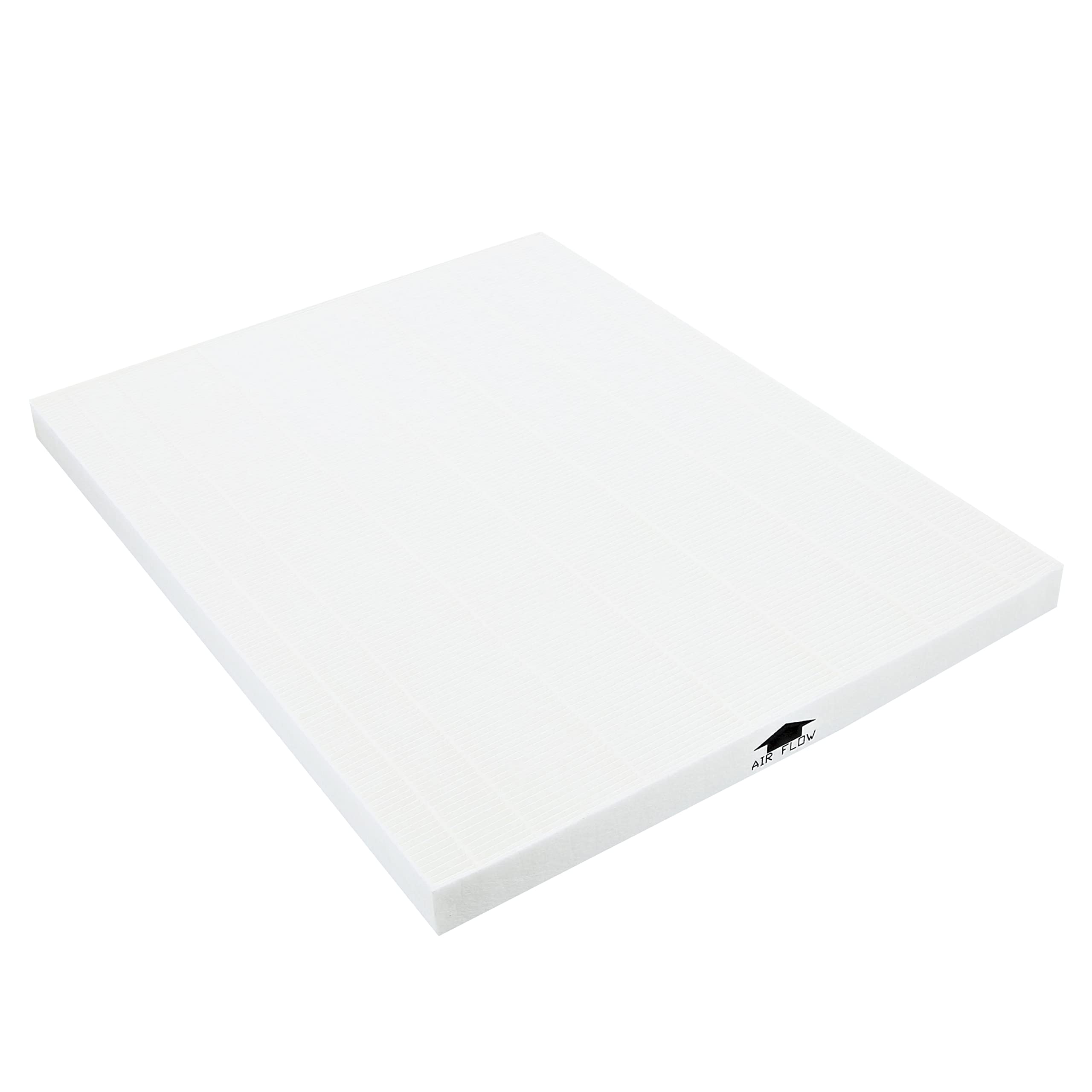Electrolux EF114 filtro Hepa EAP300 antiallergene
