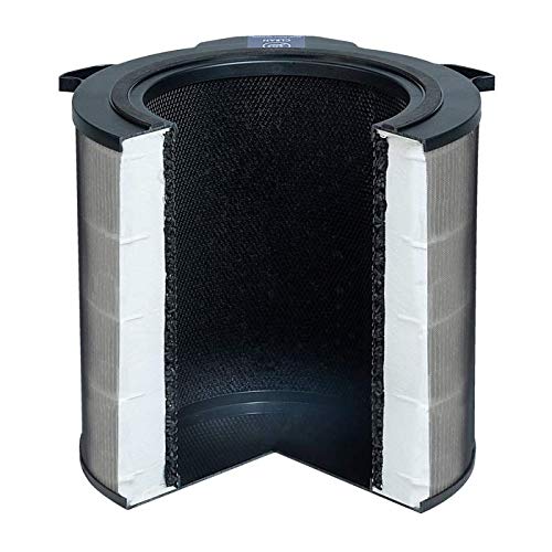 Electrolux Clean360 EFDCLN4E Filtro Purificatore HEPA13