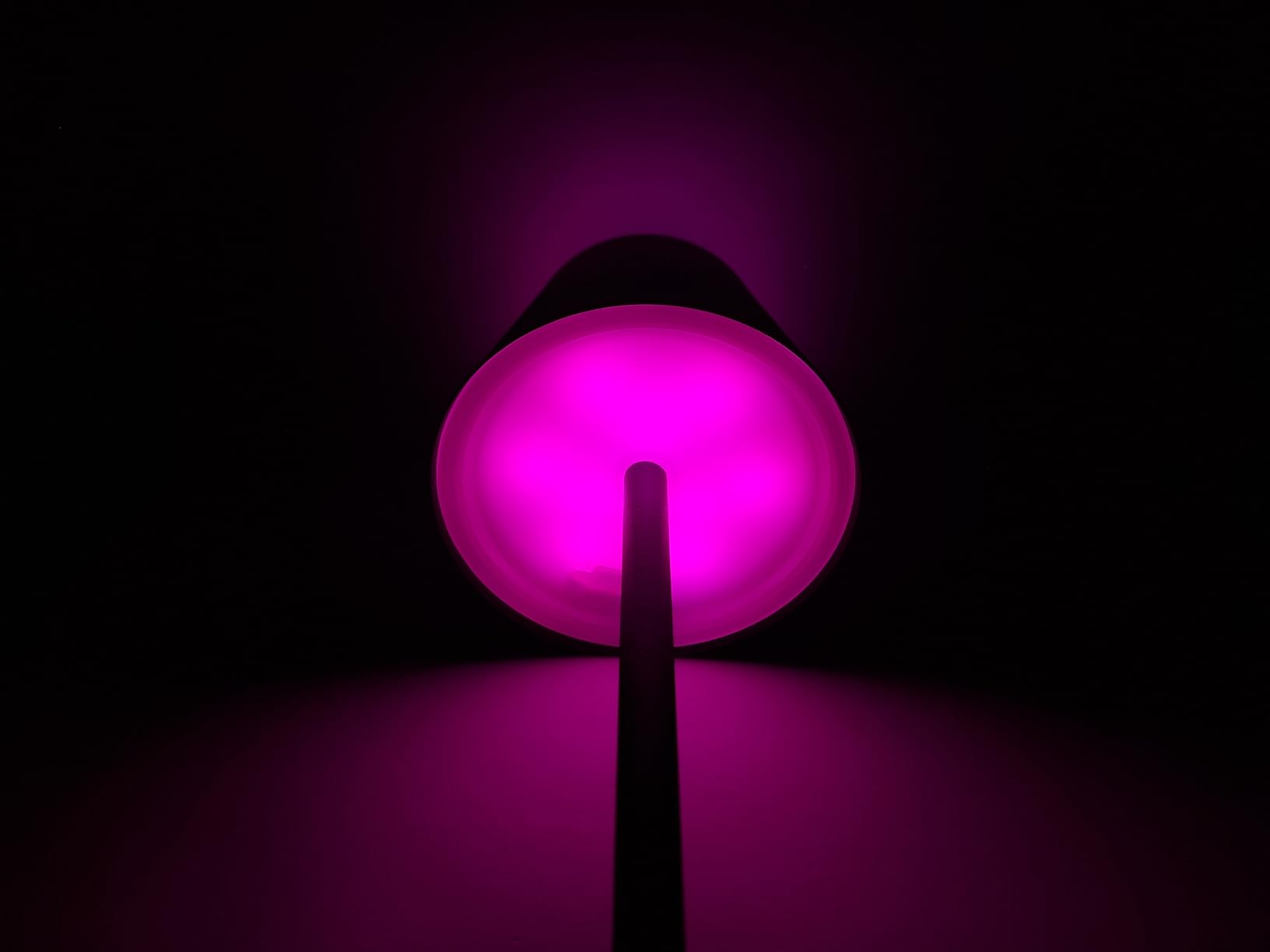 WOWDSGN lampada da tavolo senza fili nera LED ricaricabile