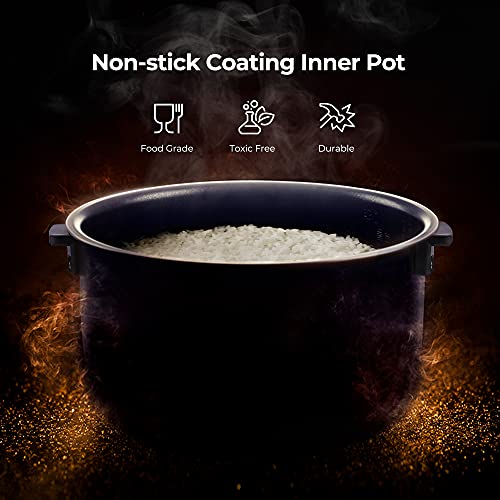 CUCKOO CR-0810F cuociriso Micom 8 tazze ricondizionato C