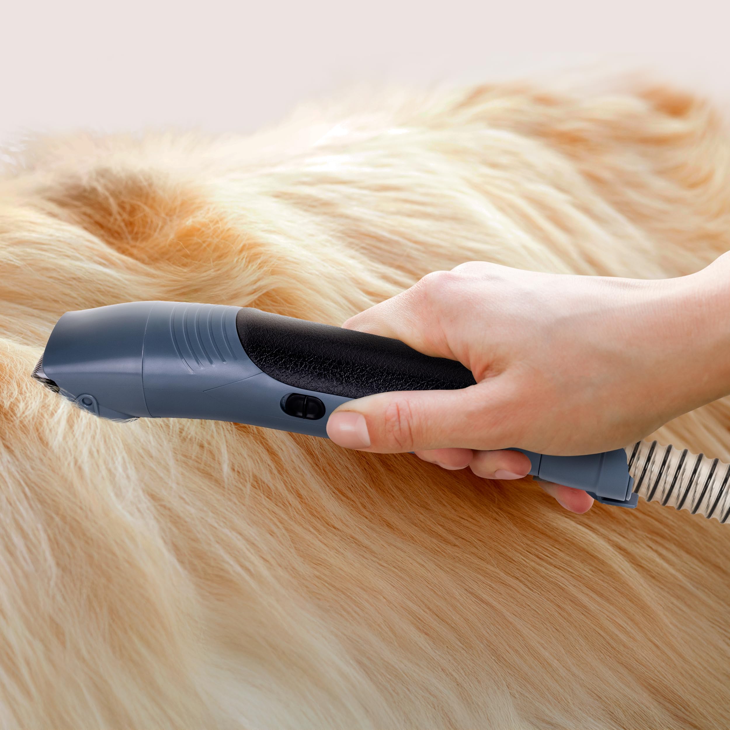Ufesa Pet Buddy Groom aspirapolvere animali 10 in 1 da 2L