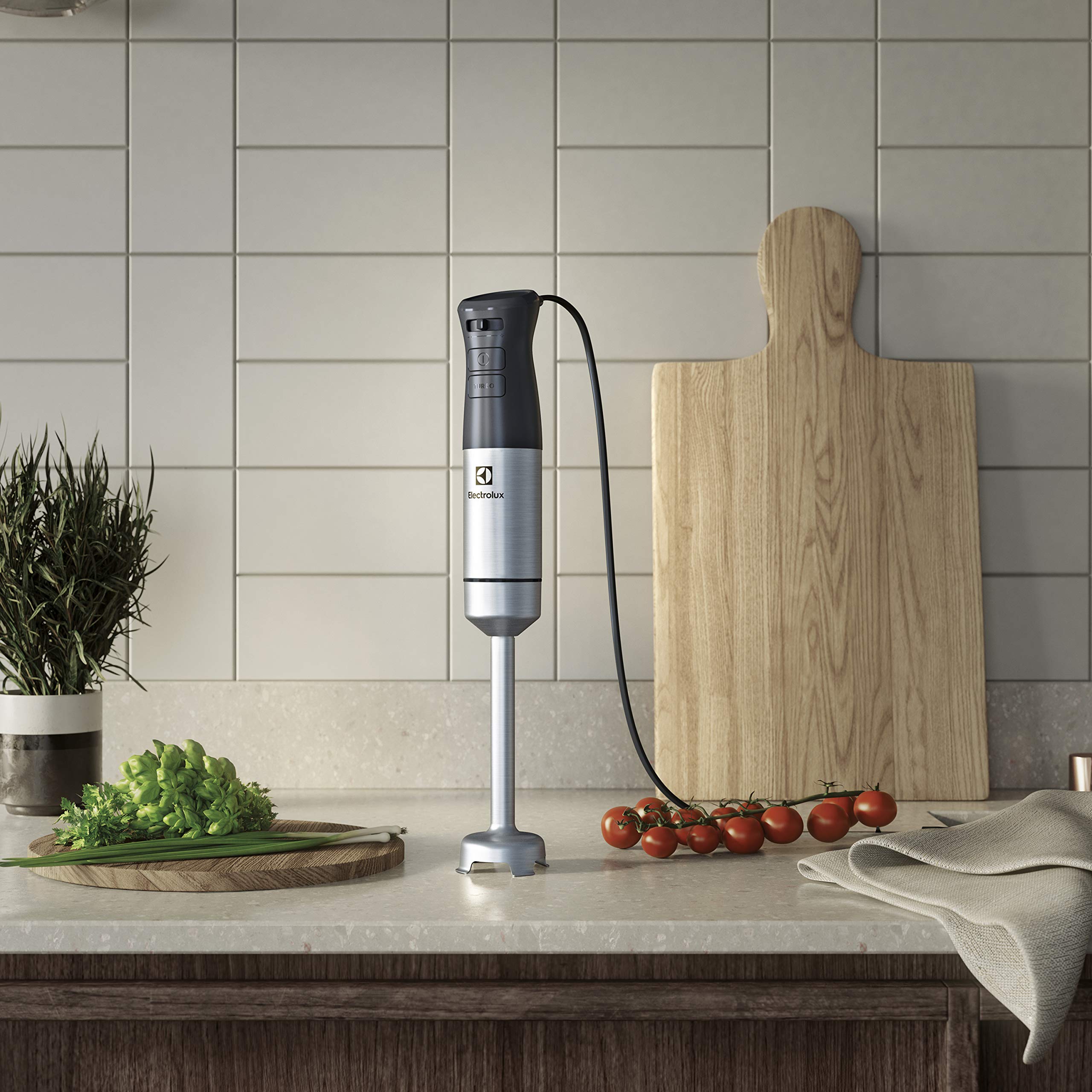 Electrolux Create 5 E5HB1-4SS frullatore a immersione 800 W