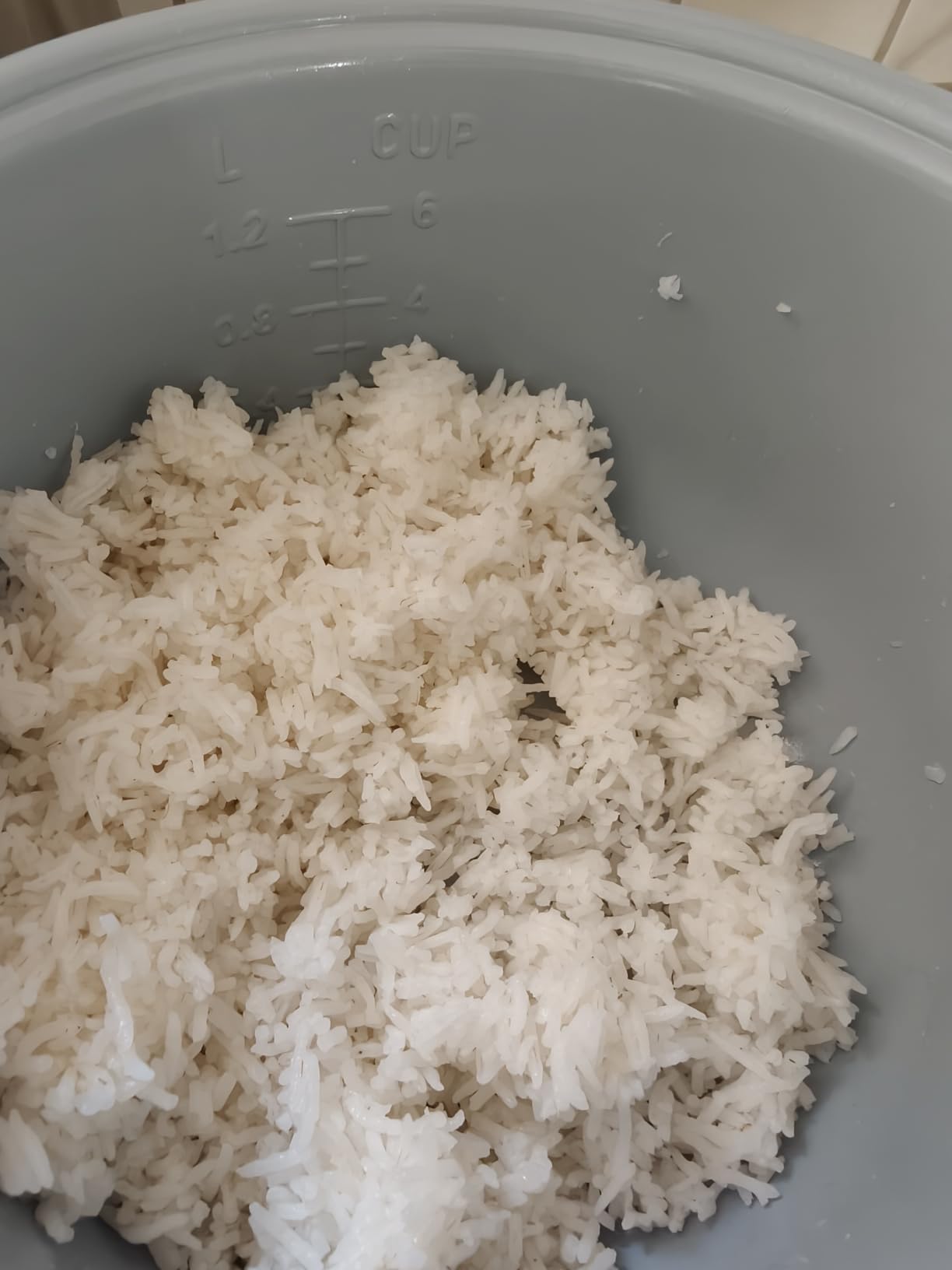 Reishunger Basis cuociriso elettrico 1,2 L grigio 6 porzioni
